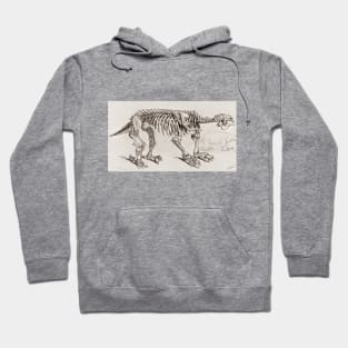 Animal Fossil Hoodie